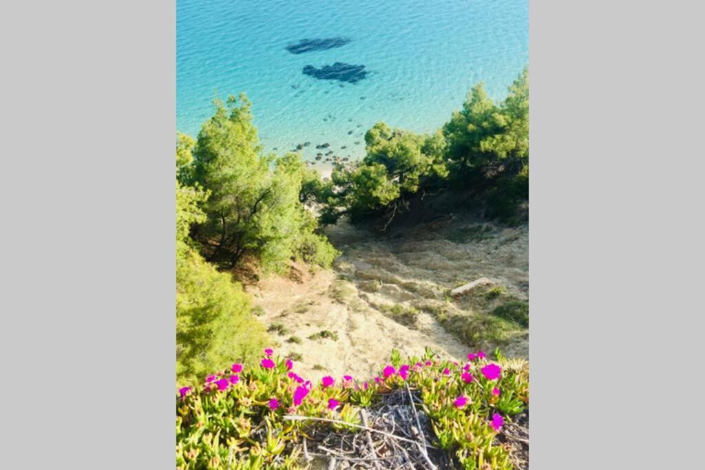Family Apartment In Greece Kalandra エクステリア 写真
