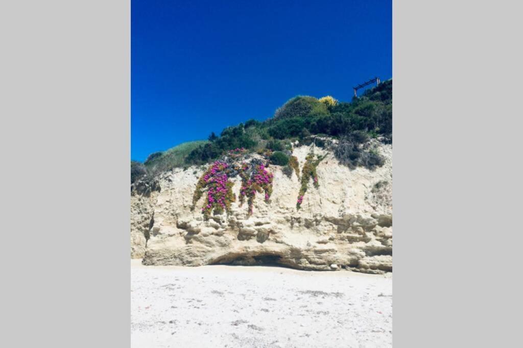 Family Apartment In Greece Kalandra エクステリア 写真